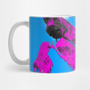 equestrian / Swiss Artwork Photography Mug